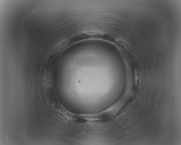 X0000068741014200605011019