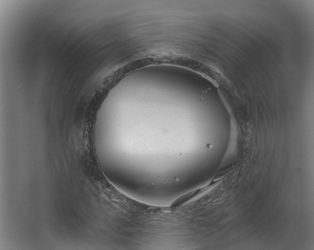 X0000068741016200605011019