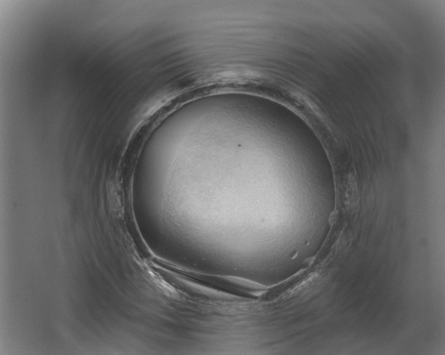 X0000068741018200605011020