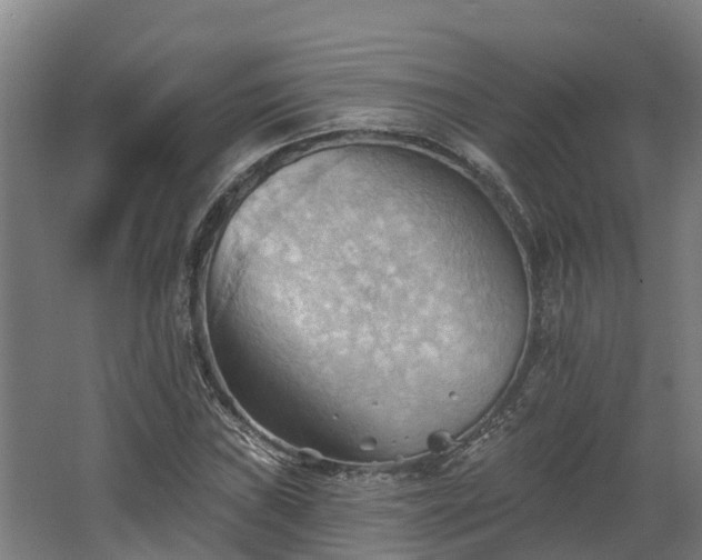 X0000068741019200605011020