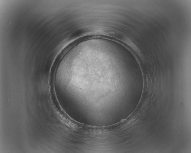 X0000068741020200605011020