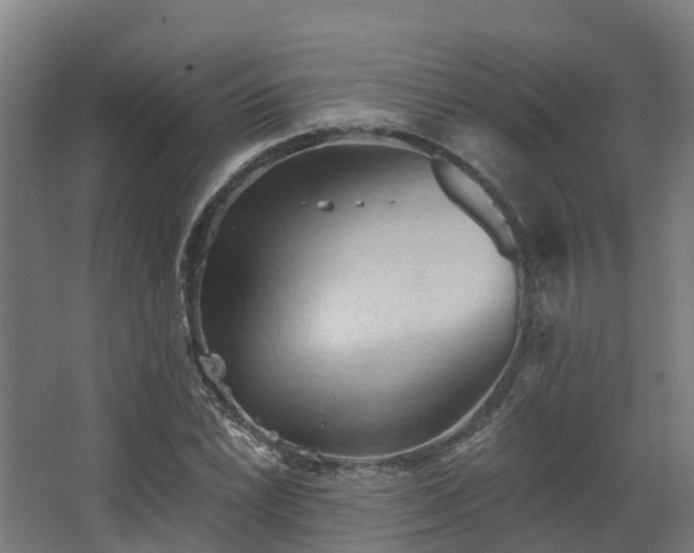 X0000068741022200605011020