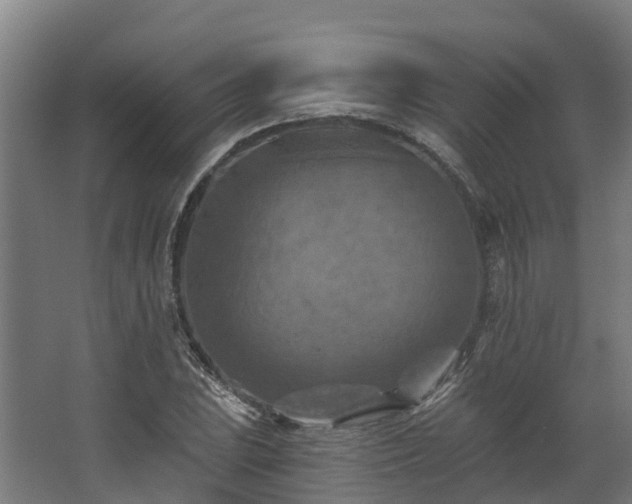 X0000068741023200605011020