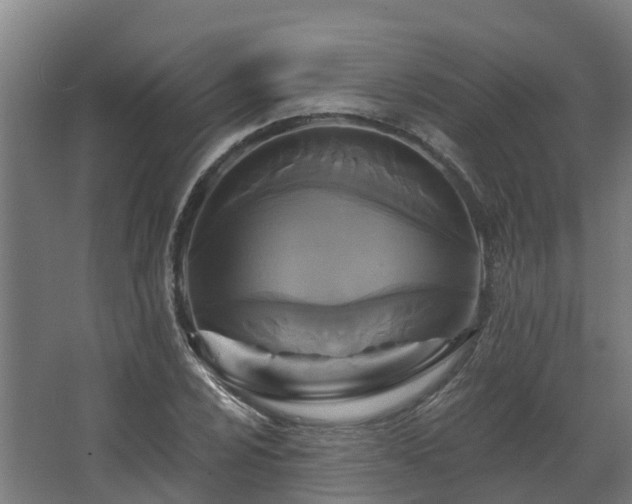 X0000068741024200605011020