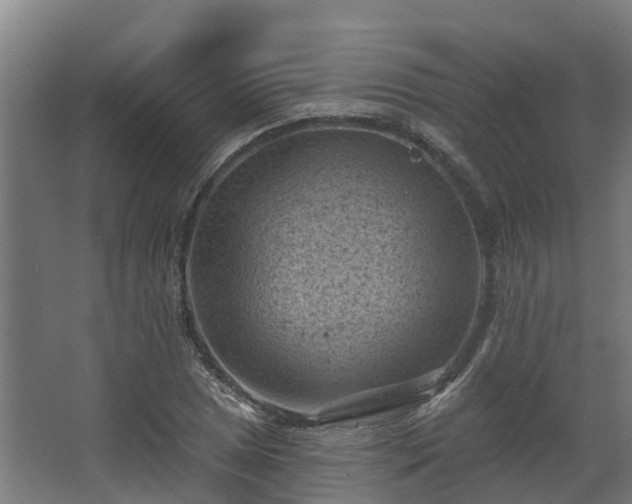 X0000068741025200605011020