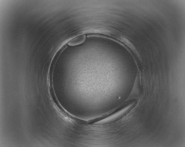 X0000068741028200605011020