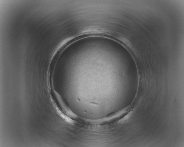 X0000068741030200605011020