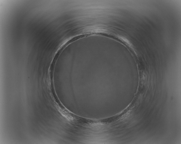 X0000068741031200605011020