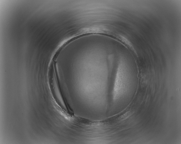 X0000068741035200605011020