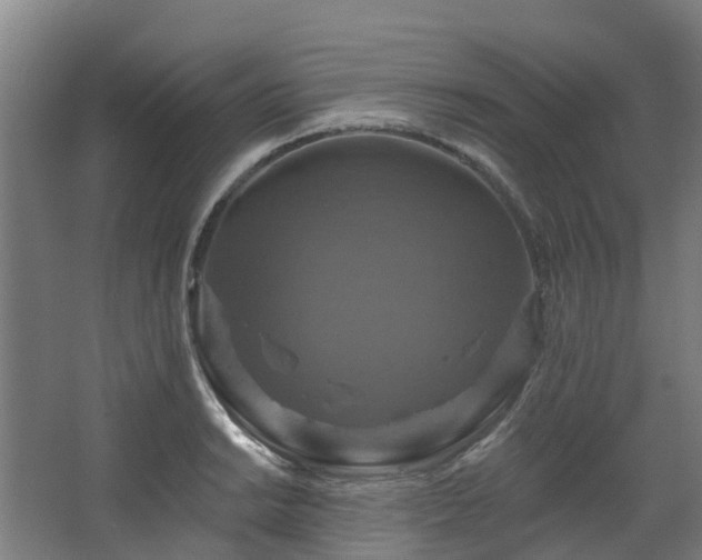 X0000068741038200605011020