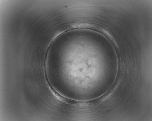 X0000068741041200605011020