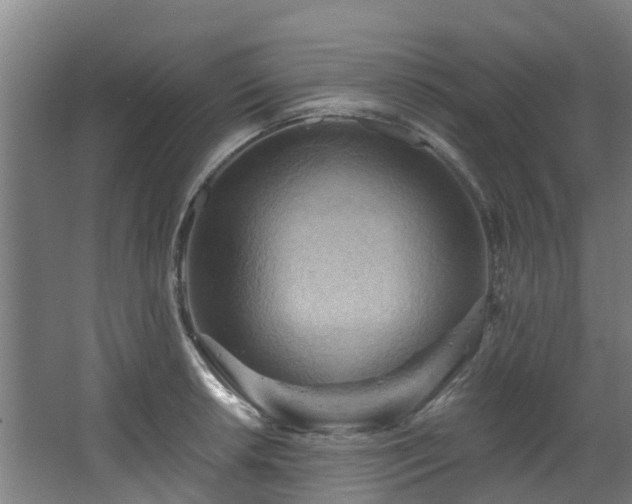 X0000068741042200605011020