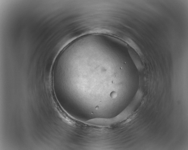 X0000068741044200605011020