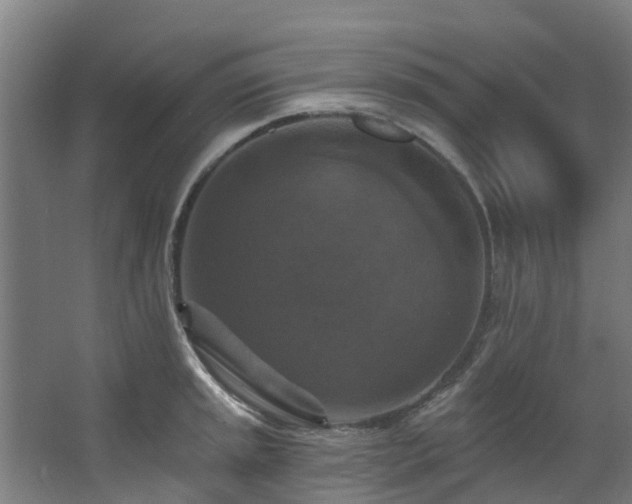 X0000068741045200605011020