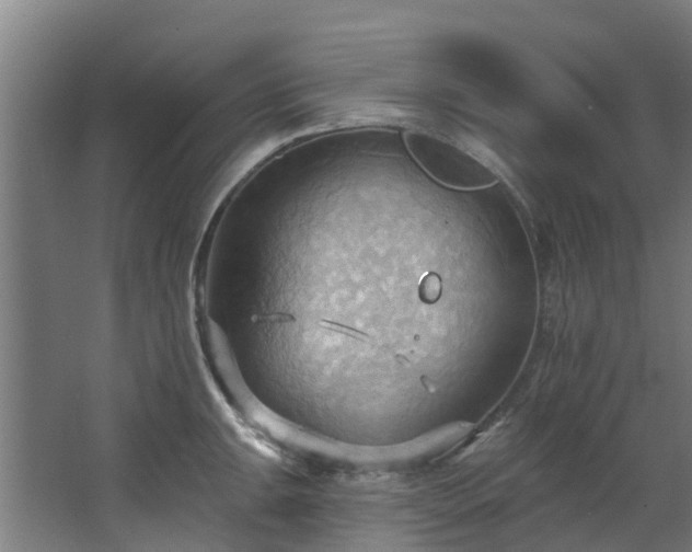 X0000068741047200605011020