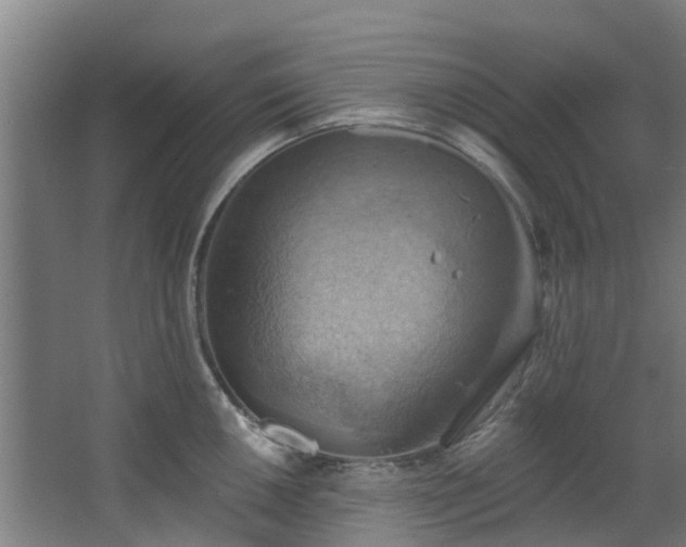 X0000068741050200605011020