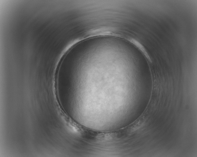 X0000068741051200605011020