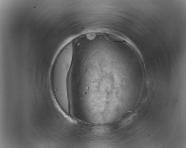 X0000068741053200605011020