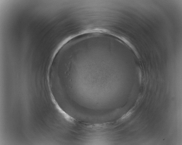 X0000068741054200605011020