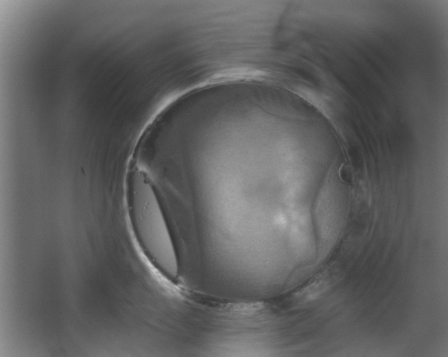 X0000068741055200605011020