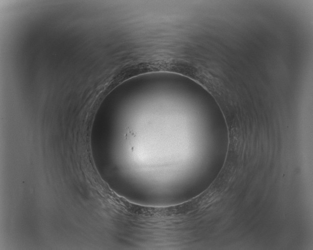 X0000068741057200605011019