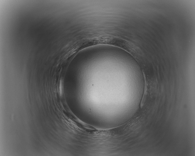 X0000068741058200605011019