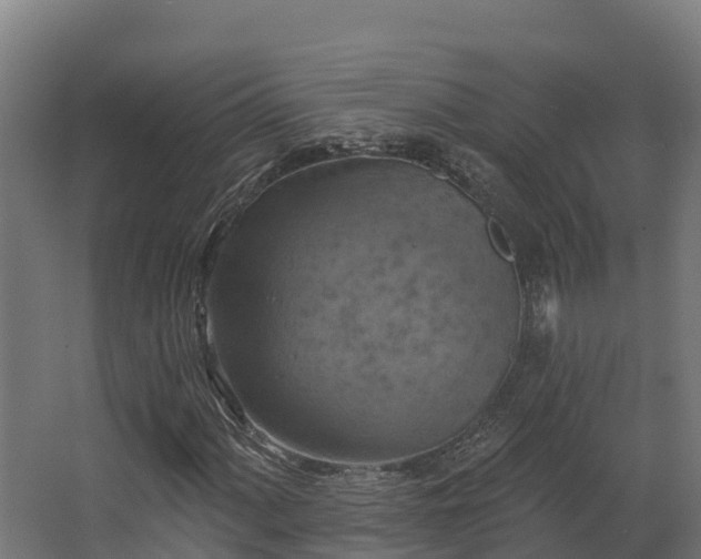 X0000068741060200605011019