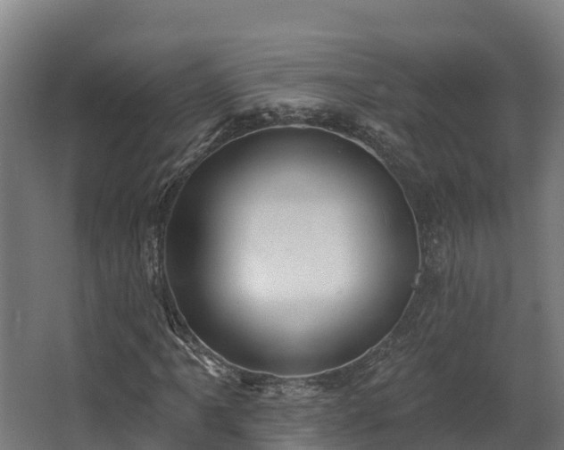 X0000068741061200605011019