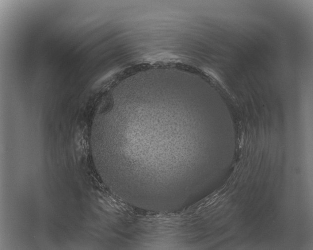 X0000068741063200605011019