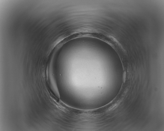 X0000068741065200605011019