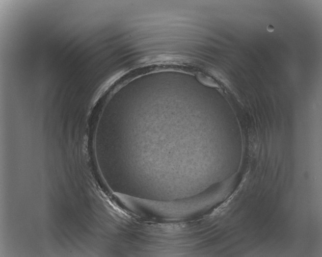 X0000068741066200605011019