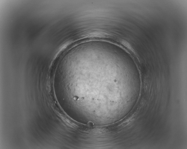 X0000068741067200605011019