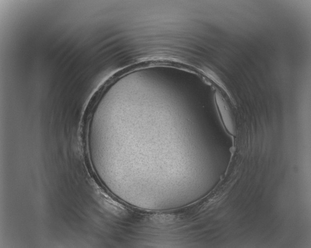 X0000068741068200605011019