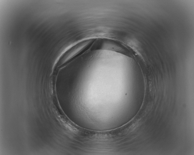 X0000068741069200605011019