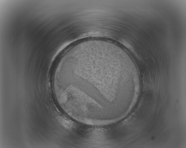 X0000068741070200605011019