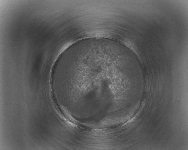 X0000068741071200605011019