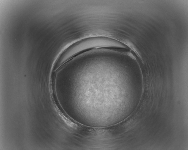 X0000068741072200605011019