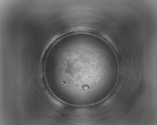 X0000068741075200605011019