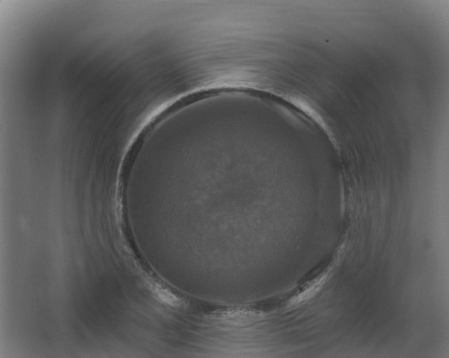 X0000068741077200605011019