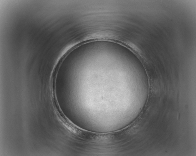 X0000068741078200605011019