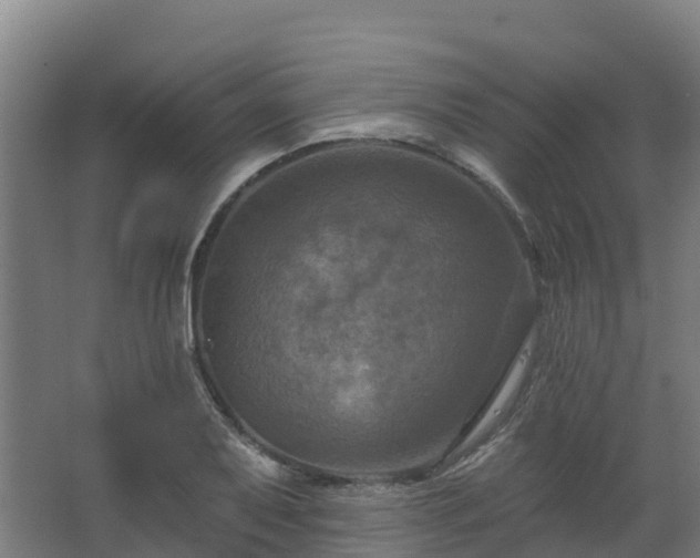 X0000068741079200605011019