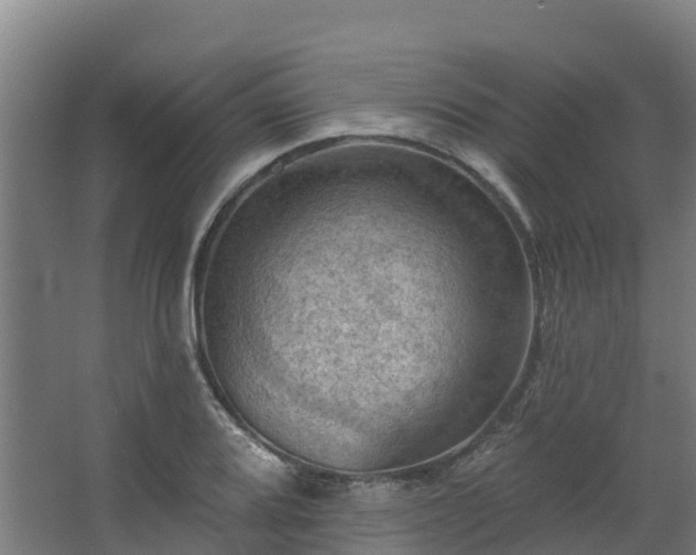 X0000068741080200605011019