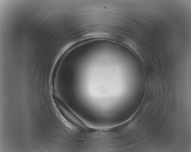 X0000068741082200605011019