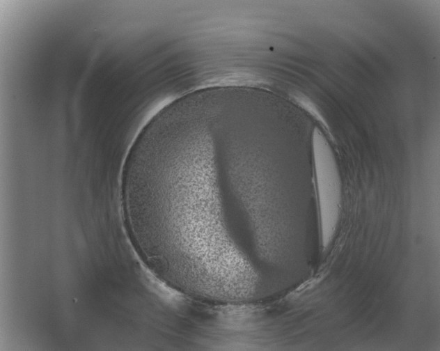 X0000068741087200605011019