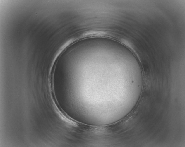 X0000068741090200605011019