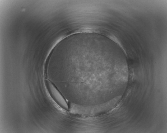 X0000068741091200605011019