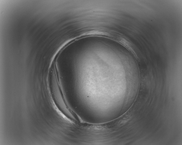 X0000068741092200605011019