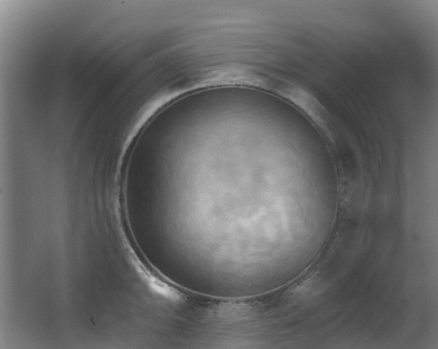 X0000068741094200605011019