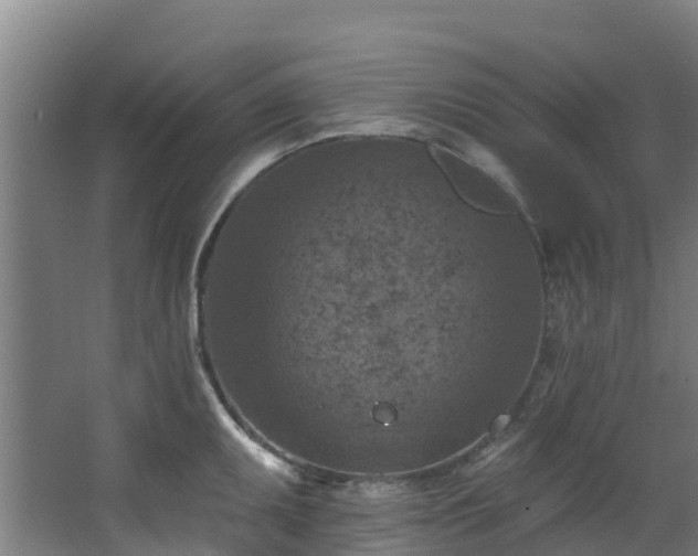 X0000068741095200605011019