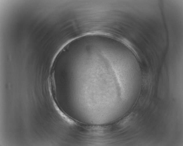 X0000068741100200605011019